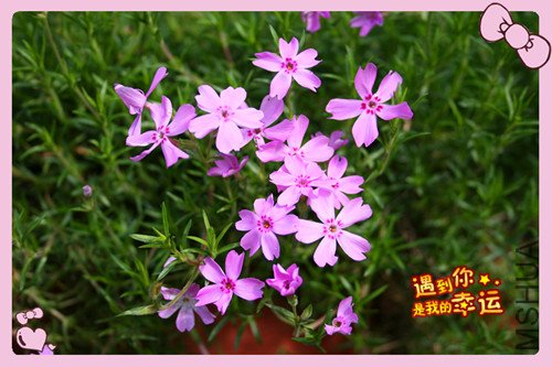 ��Ƭ 017_����2.jpg