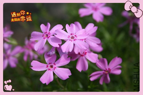 ��Ƭ 018_����3.jpg