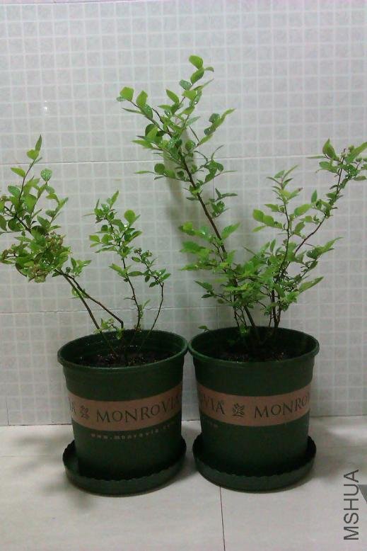 �ջ�������