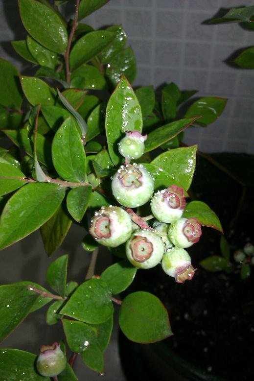 ��ʵ���Ǻܽ�ʵ�ģ����ǵ��˲���