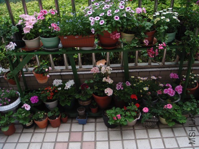 DSC04351.JPG