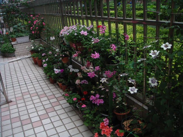 DSC04349.JPG