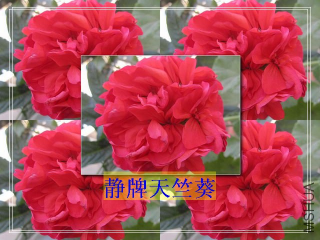 FB7MYGCA7ZDDWWCA3TN23HCAOIZJ0PCAQED5ZECA2M5GD3CA5T2P1WCAB911AECADB8H07CA59BXM3CA.jpg