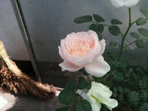 IMG20120517084536.jpg