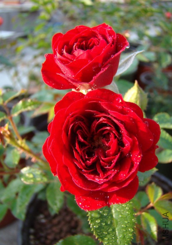 QQ��ͼ20120517105536.jpg