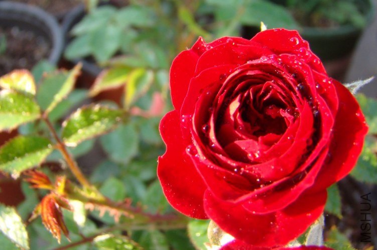 QQ��ͼ20120517105547.jpg