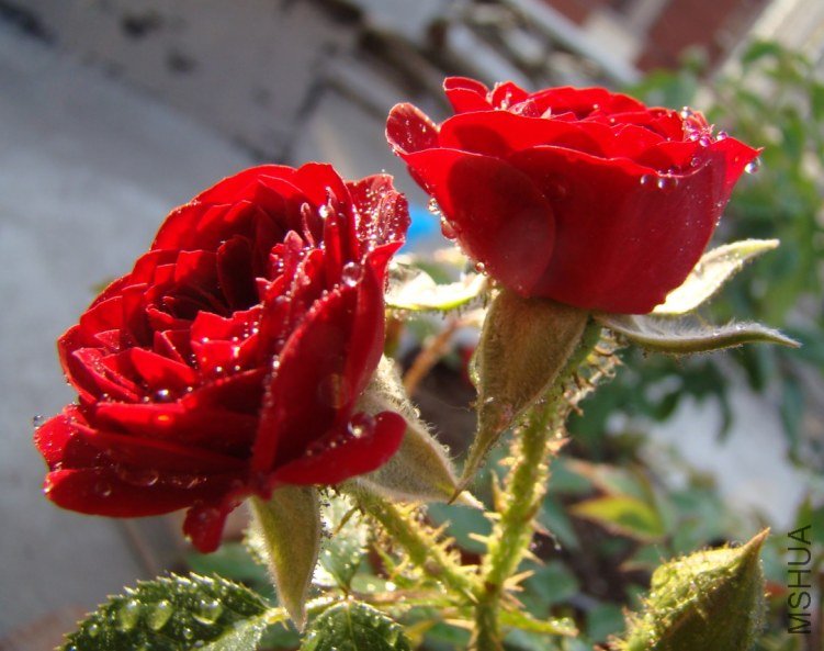 QQ��ͼ20120517105620.jpg