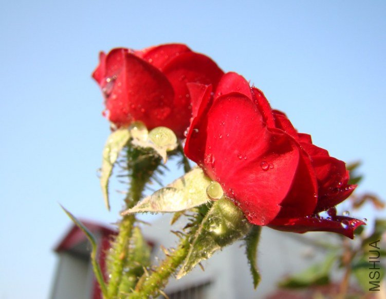 QQ��ͼ20120517105631.jpg