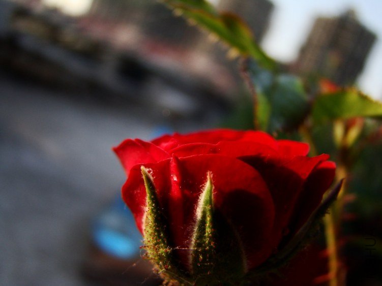 QQ��ͼ20120517105716.jpg