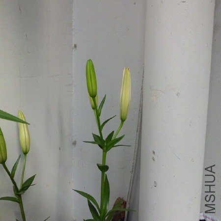 CIMG1190_����.jpg