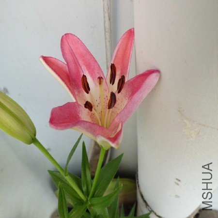 CIMG1192_����.jpg