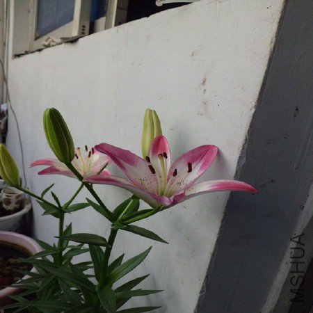 CIMG1195_����.jpg