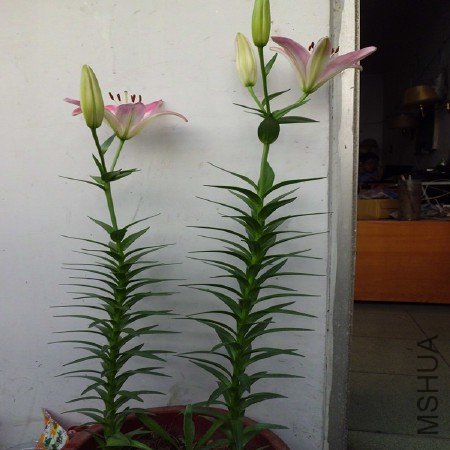 CIMG1197_����.jpg