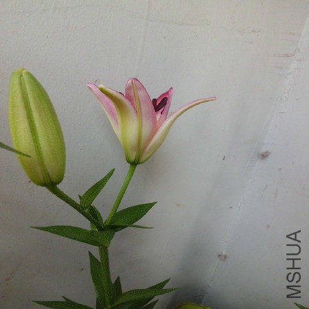CIMG1193_����.jpg