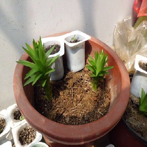 CIMG1130_����.jpg