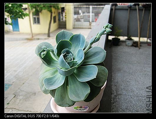 �Ѿ�Ҫ������