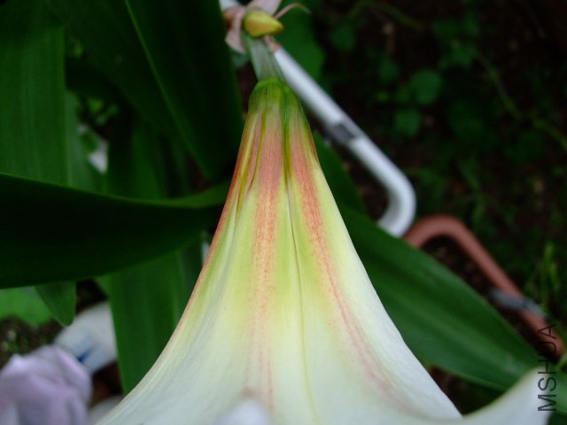 DSCF0340.JPG