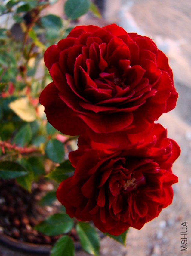 QQ��ͼ20120517191806.jpg