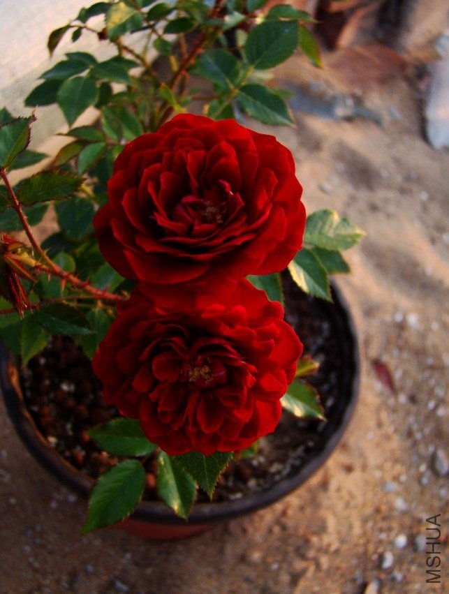 QQ��ͼ20120517191926.jpg