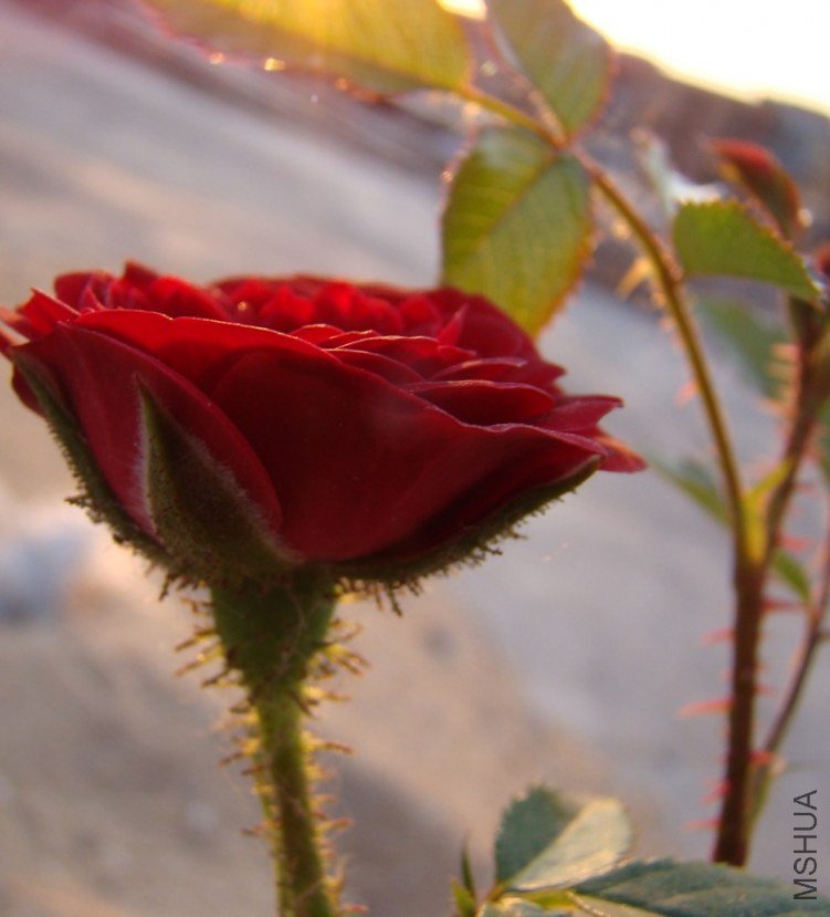 QQ��ͼ20120517192052.jpg