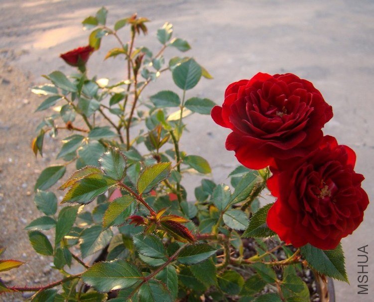 QQ��ͼ20120517210718.jpg