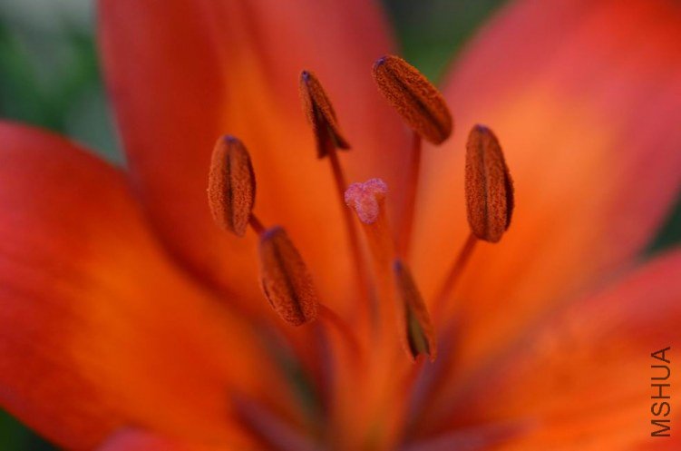 ������С DSC_0014.JPG