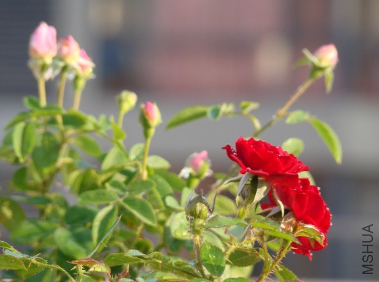 QQ��ͼ20120518101615.jpg