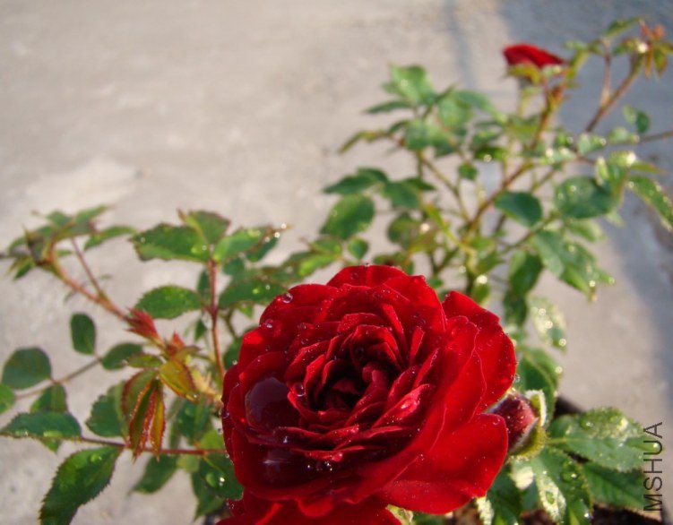 QQ��ͼ20120518101415.jpg