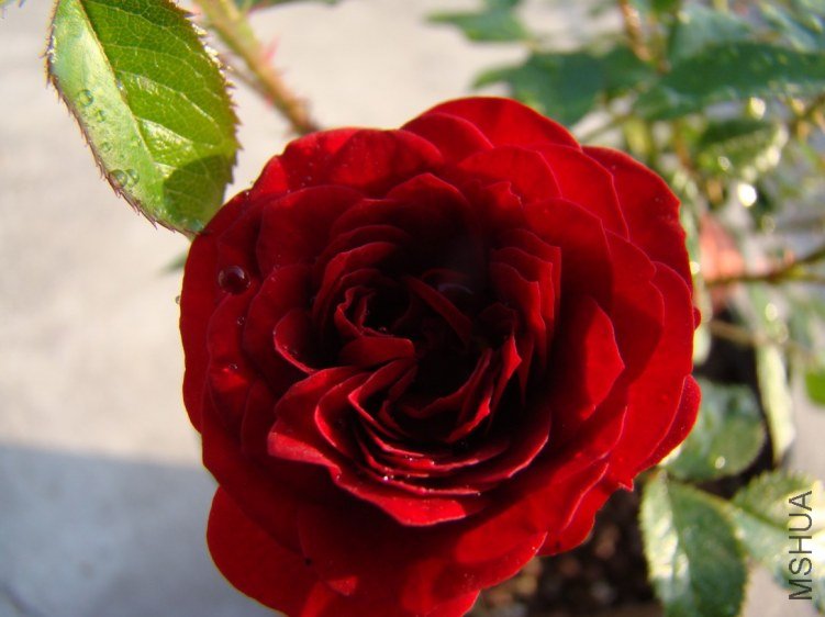 QQ��ͼ20120518101516.jpg
