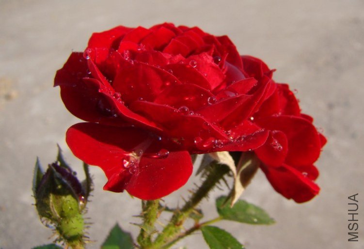 QQ��ͼ20120518101525.jpg