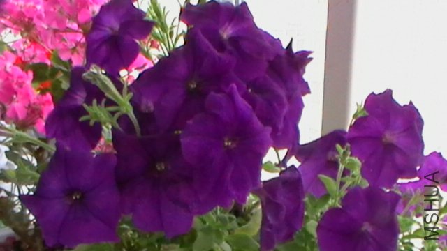 20120510-082011.JPG