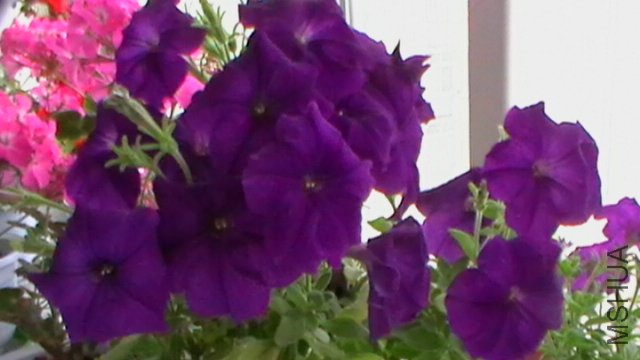 20120510-082009.JPG