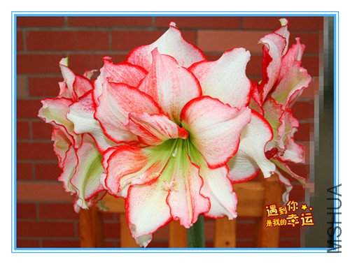 ��Ƭ 127_����2.jpg