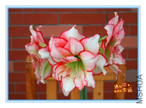 ��Ƭ 126_������1.jpg