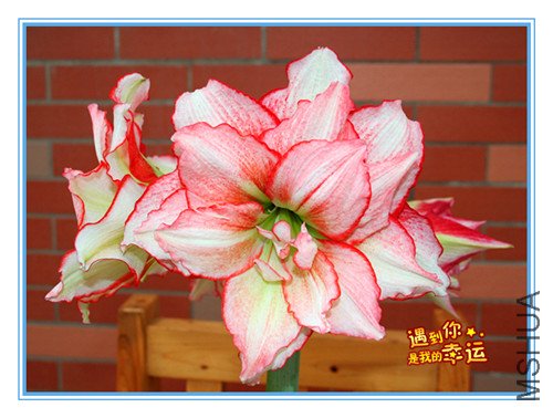 ��Ƭ 128_����3.jpg