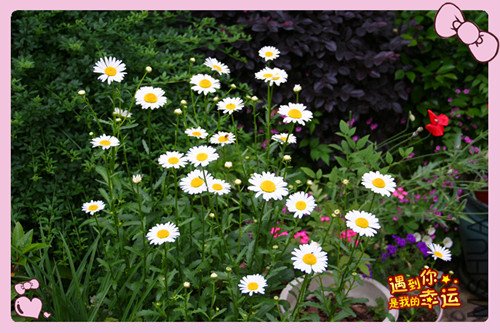 ��Ƭ 042_������1.jpg