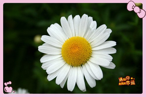 ��Ƭ 044_����2_����.jpg