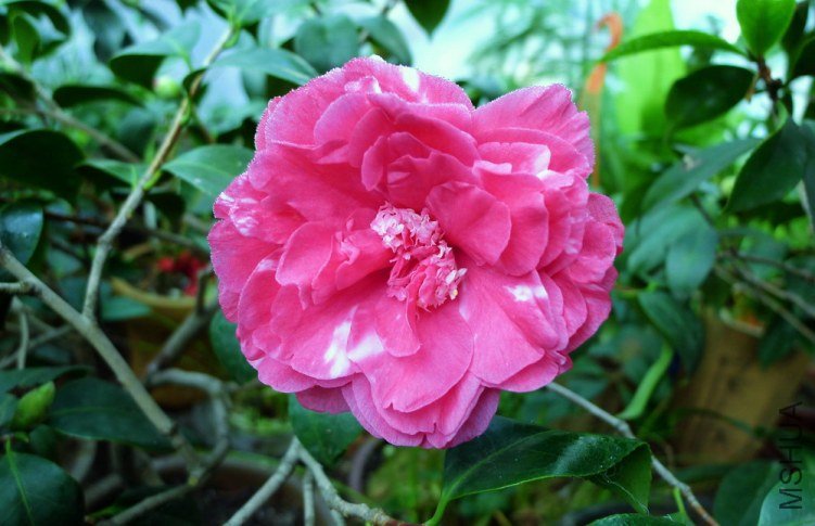 2011.12.1.��һ��.jpg