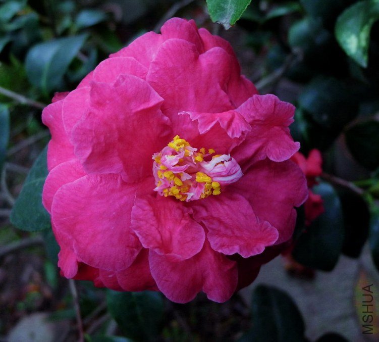 P1530586.jpg