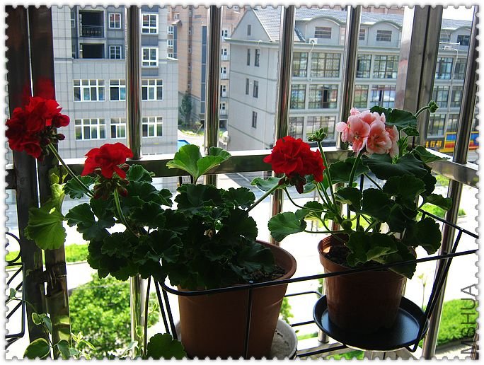 10Ԫ����ֳɺǺ�