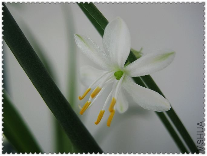 �����Ļ���Ҳ������