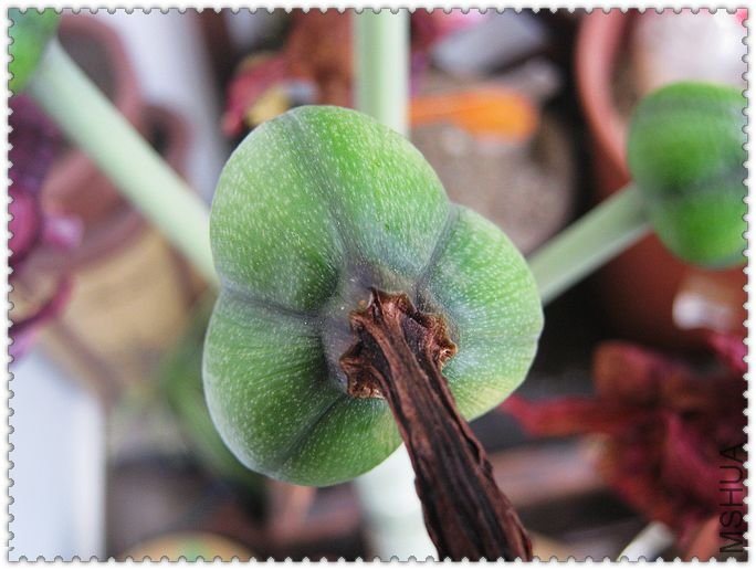 ����죬�б�����