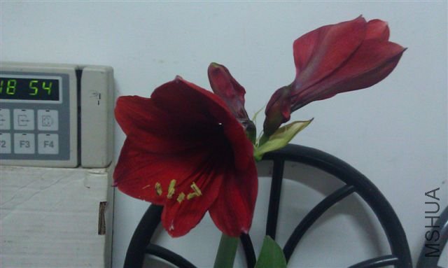 IMAG0026.jpg