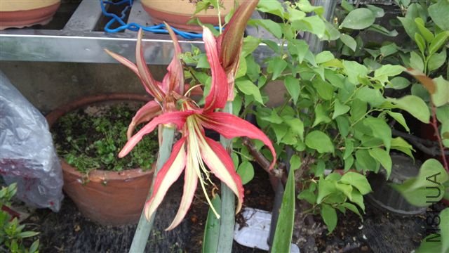 2012-05-01_13-50-04_971.jpg