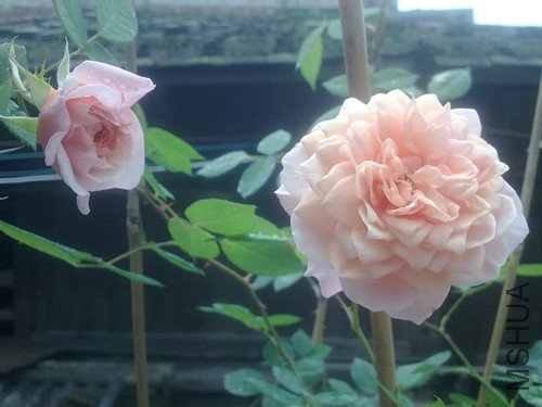 201205131406_����.jpg