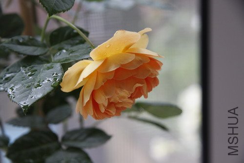 2012����3.JPG