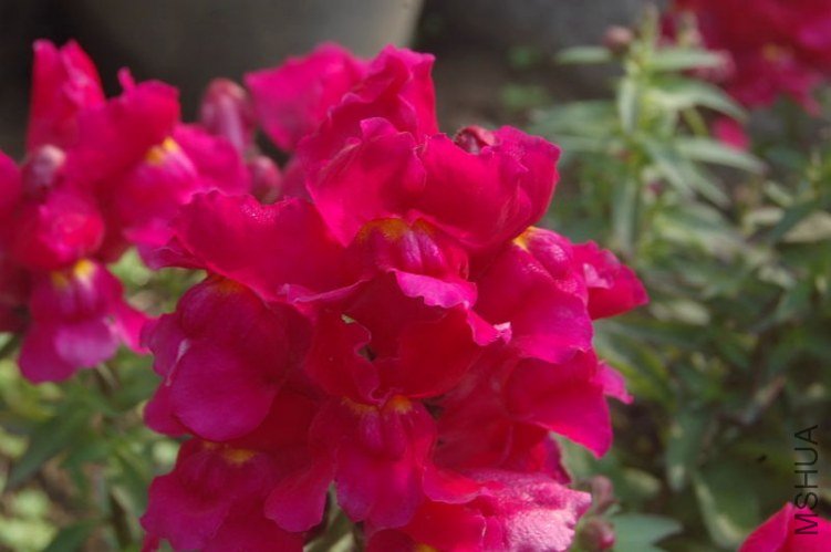 DSC_02570257.JPG