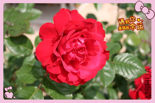 ��Ƭ 059_�����´�1.jpg