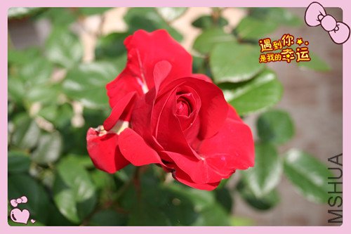 ��Ƭ 060_�����¸�.jpg