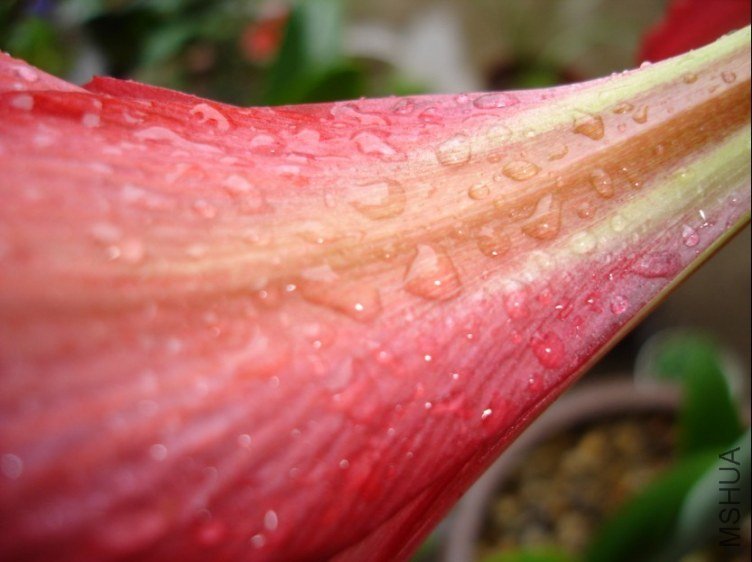 ��  ˮ��.jpg